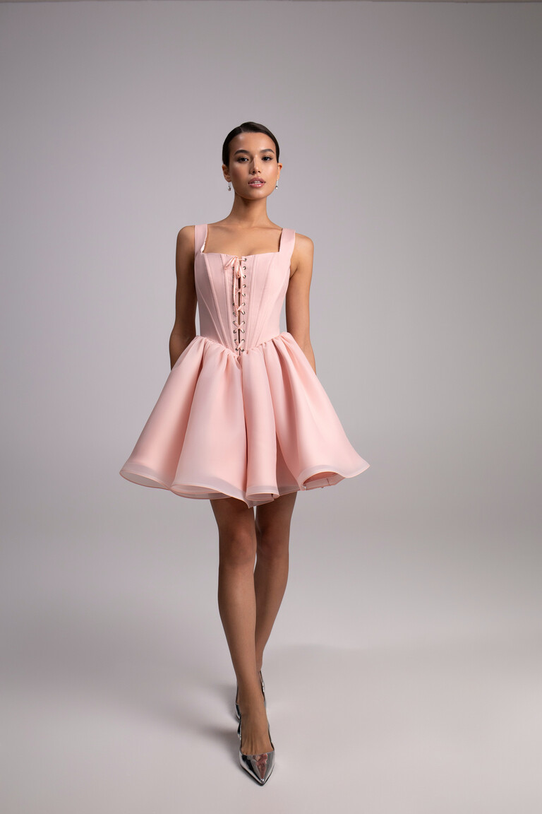 Rose Powder Mini Satin & Organza Corset Dress