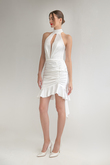 Charlie mini preview photo # 5 Charlie Halter Ruched Mini Dress preview photo # 5