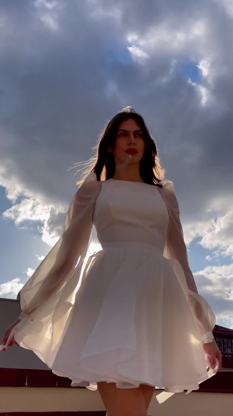Filici Mini Dress With Long Sheer Sleeves