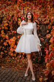 Filici Mini Dress With Long Sheer Sleeves preview photo # 1
